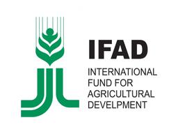 IFAD